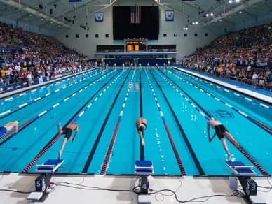 Project 2 - Watcon International Project